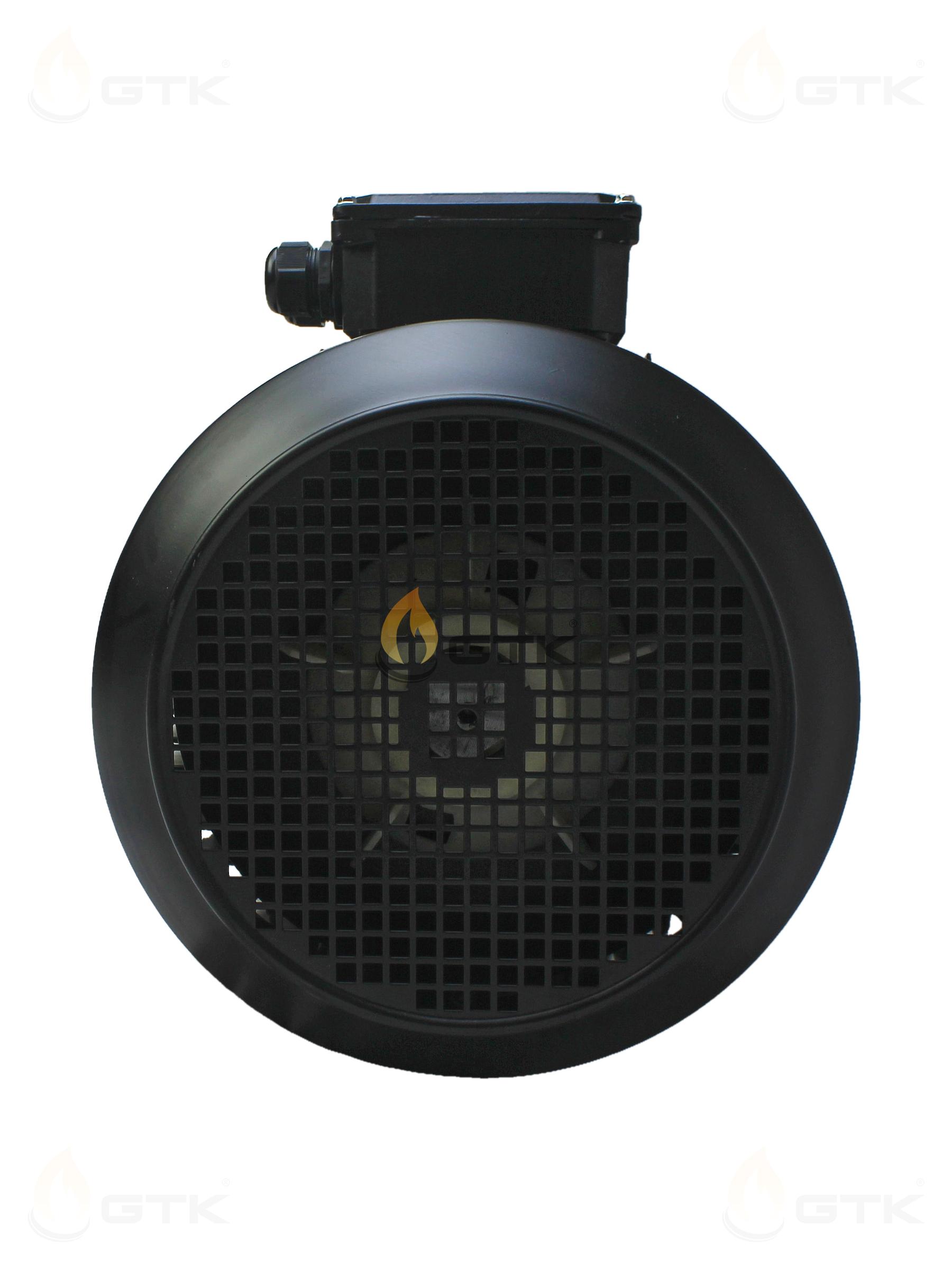 Двигатель Ecoflam 18.5кВт 380В, 65326335