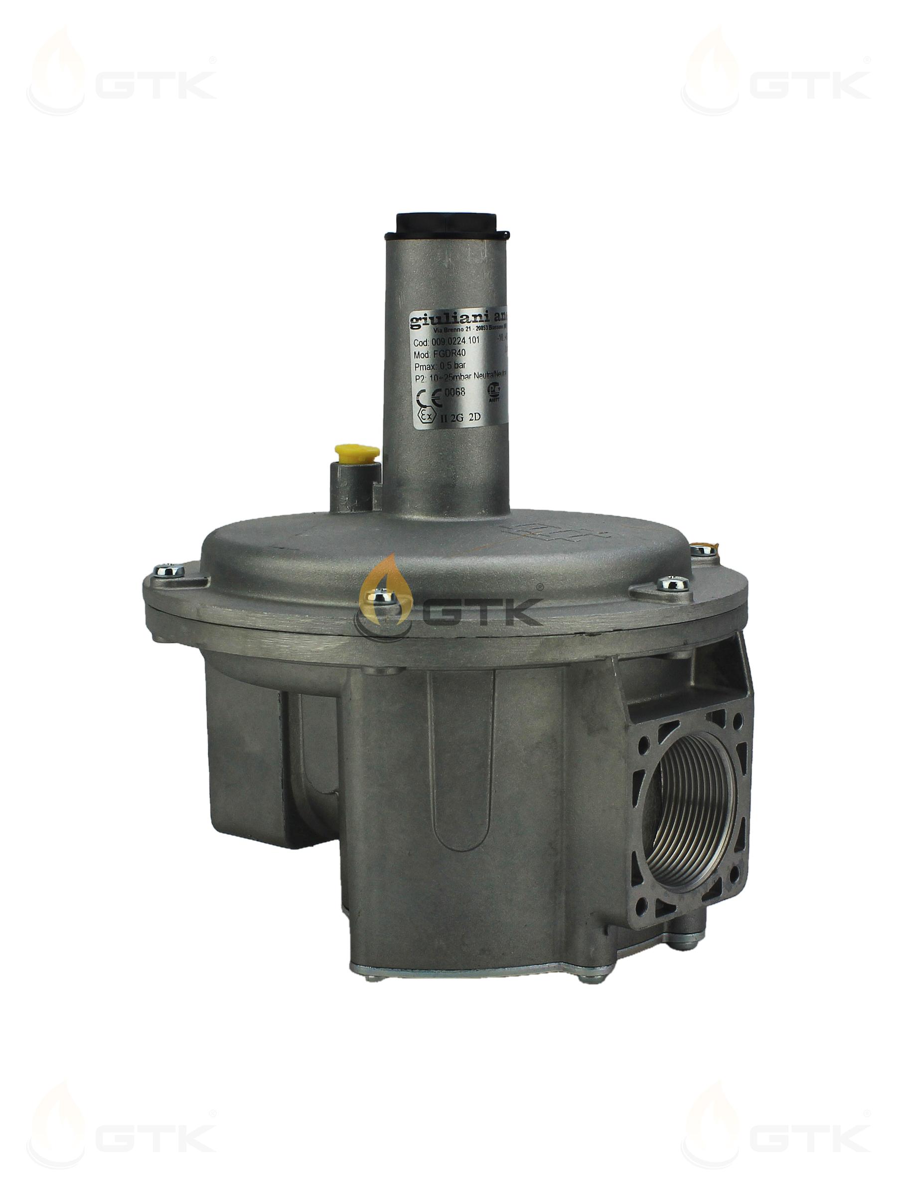 Регулятор давления газа Giuliani Anello FGDR40 (FSDR40/CE), 009.0224.101 Регулятор давления газа Giuliani Anello FGDR40 (FSDR40/CE), 009.0224.101