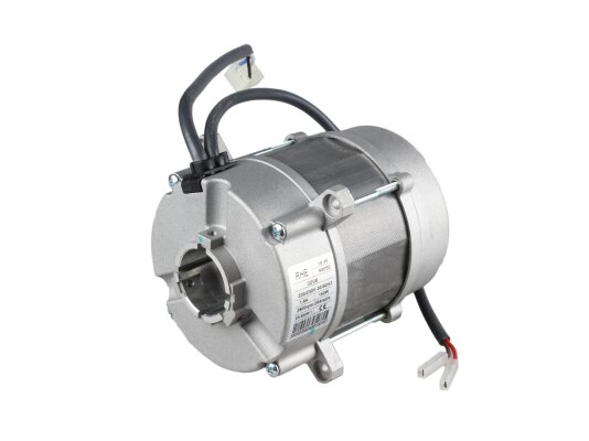 Электродвигатель Riello RHE 600SE 0206, 3002820
