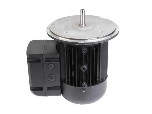 Электродвигатель Weishaupt WM-D112/140-2/3K0, 21520307010
